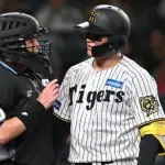 判定に不服な森下に対してファン『別に審判とケンカしてもいいんじゃね』←これ