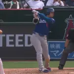 大谷翔平 .258 7本 24打点 OPS.839