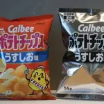 【悲報】政府ブチギレポテチ、ガチで完成してしまうｗｗｗｗｗｗｗｗｗｗ