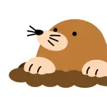 モグラって実際にみたことある人いるの？