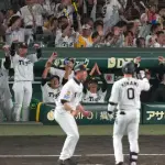 阪神タイガース、7点差をたった3イニングで逆転www締めは森下がサヨナラwwwwww