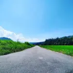 【悲報】東京人さん「田舎に住むとか無理！電車もバスもなくて草むしりや消防団させられてスーパーは車で1時間！」ｗｗｗｗｗｗｗｗｗｗ