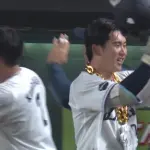 12球団ここまでの大社ルーキー野手の成績（2026.5.20）