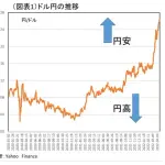 【悲報】なんで日本さんって貧困化したん？・・・・・・・・・