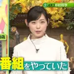 福原遥さん(女優声優歌手できます、料理得意です)←これ