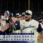 ヤクルトが強い理由、未だに謎wwwwwwwww
