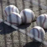 プロ野球選手にやたら多い苗字ｗｗｗｗｗｗｗｗ