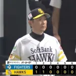 福岡ソフトバンクホークス 対日ハム 6試合 .330 69安打 47得点 8本塁打