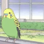 インコ「人間に戻して…」