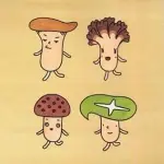 松茸「この中に1本だけ、いらない奴がいまーすwwwwwwww」