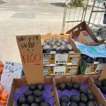 【衝撃】近所のグエンさん八百屋「アボカド？3コで100円ｗ」ｗｗｗｗｗｗｗｗｗｗ