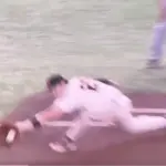 【悲報】阪神vs巨人でとんでもないクソ誤審wwwwwwwwww