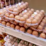 【悲報】引きこもり炙り出し質問、「卵って何コーナーに置いてる？」で決まるｗｗｗｗｗｗｗｗｗｗ