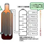 【悲報】マスコミ「ナフサ不足」→人々が多めに買う→ナフサ関連商品が店から消える→マスコミ「ほらナフサ不足」・・・・・・・・・