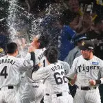 今年の阪神の交流戦、所沢がない
