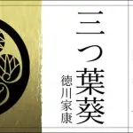 【悲報】藤原・源・徳川姓さん、やっぱ家系いいの?wwwwwwwwww