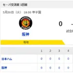 【勝利】阪神vs日本ハム 交流戦 1回戦｜試合後ハムファン集合｜5/26