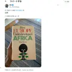 【悲報】イーロン・マスクさん「アフリカは世界から300兆円援助されたのに何故発展しないんだい?」・・・・・・・・・