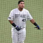 ヤクルト　元オリ西武のセデーニョ獲得