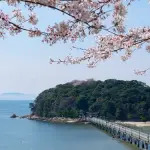 【困惑】なんで韓国さんに竹島あげたら駄目なの？・・・・・・・・・