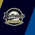オリックス（ホーム18勝4敗）　vs　中日（ビジター3勝16敗）　←京セラで対決