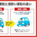 【悲報】女さん、走行中の車の助手席窓から頭を出して死亡・・・・・・・・・