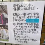 【悲報】「ここへ子猫を捨てた人へ」・・・・・・・・・