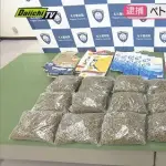 【衝撃】大麻31kg運んでたババアさん、逮捕されてしまうｗｗｗｗｗｗｗｗｗｗ