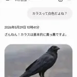 【悲報】AIは間違った情報しか言わないと思ってるやつｗｗｗｗｗｗｗｗｗｗ