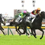 【悲報】「パち◯こで100万円勝つ」←不可能、「競馬で100万円勝つ」←5分ｗｗｗｗｗｗｗｗｗｗ