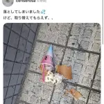 【悲報】31さん、アイスを落とした女の子に塩対応して炎上してしまうｗｗｗｗｗｗｗｗｗｗ