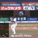 【ロッテ対阪神3回戦】阪神、３回表無死一三塁から梅野の併殺打の間に三塁ランナーが生還し同点に追いつく！！！