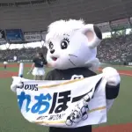埼玉西武ライオンズ(1位)  31勝20敗2分 勝率.608