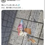 【悲報】サーティワンさん、アイスを落としてしまった女の子に塩対応する企業だった・・・・・・・・・