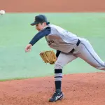 竹丸和幸(巨) 9登板 54.1回 5勝4敗 防御率2.98 WHIP1.25 奪三振率8.45 QS率44.4%