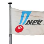 【ＮＰＢ】２軍戦の育成出場枠が最大「７」に拡大　２日から今季限りの運用を開始　メリットは出場機会増と負担軽減