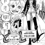 【悲報】ワンピースさん、またしても回想の回想に突入・・・・・・・・・