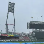 広島－日本ハムも雨天中止　台風６号接近に伴う悪天候　阪神－西武に続いて２試合目の中止発表
