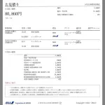 【画像】シンガポール行きの航空券、運賃1万