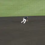 源田、阪神のショートが苦労している甲子園のイレギュラーバウンドを簡単に対応する