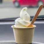 ソフトクリームをコーンじゃなくてカップで頼む奴wwwww