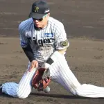 パリーグで主に守備固めで使われてる控えショートとか居ないのか?