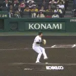 【阪神対西武2回戦】西武、初回１アウト一三塁からネビンの犠牲フライで１点先制！！！！！！！！！！