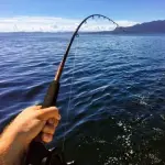(ヽ´ん`)「川釣りでアジが大漁大漁。しかも自分で釣ればタダという最強のコスパ」
