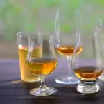 【悲報】ウイスキー飲み人さん「スモーキーでぇ、ナッツがぁ、フルーツがぁ、バニラがぁ」←これしか言わないｗｗｗｗｗｗｗｗｗｗ