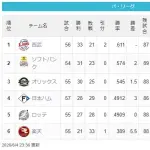 猫==鷹=-檻===/公鴎=====-鷲（2026.6.4）