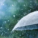 【悲報】平安人「雨か傘をさそう」江戸人「雨か傘をさそう」令和人「雨か傘をさそう」・・・・・・・・・