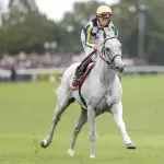 【安田記念】 ガイアフォースは1番人気で勝ち切るような馬とは思えない