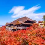 【朗報】京都さんの衰退が始まった理由ｗｗｗｗｗｗｗｗｗｗ