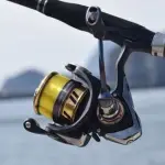 【悲報】釣り系YouTuberさん「5000円以上の釣り具は自己満足。なんの違いもない」ｗｗｗｗｗｗｗｗｗｗ